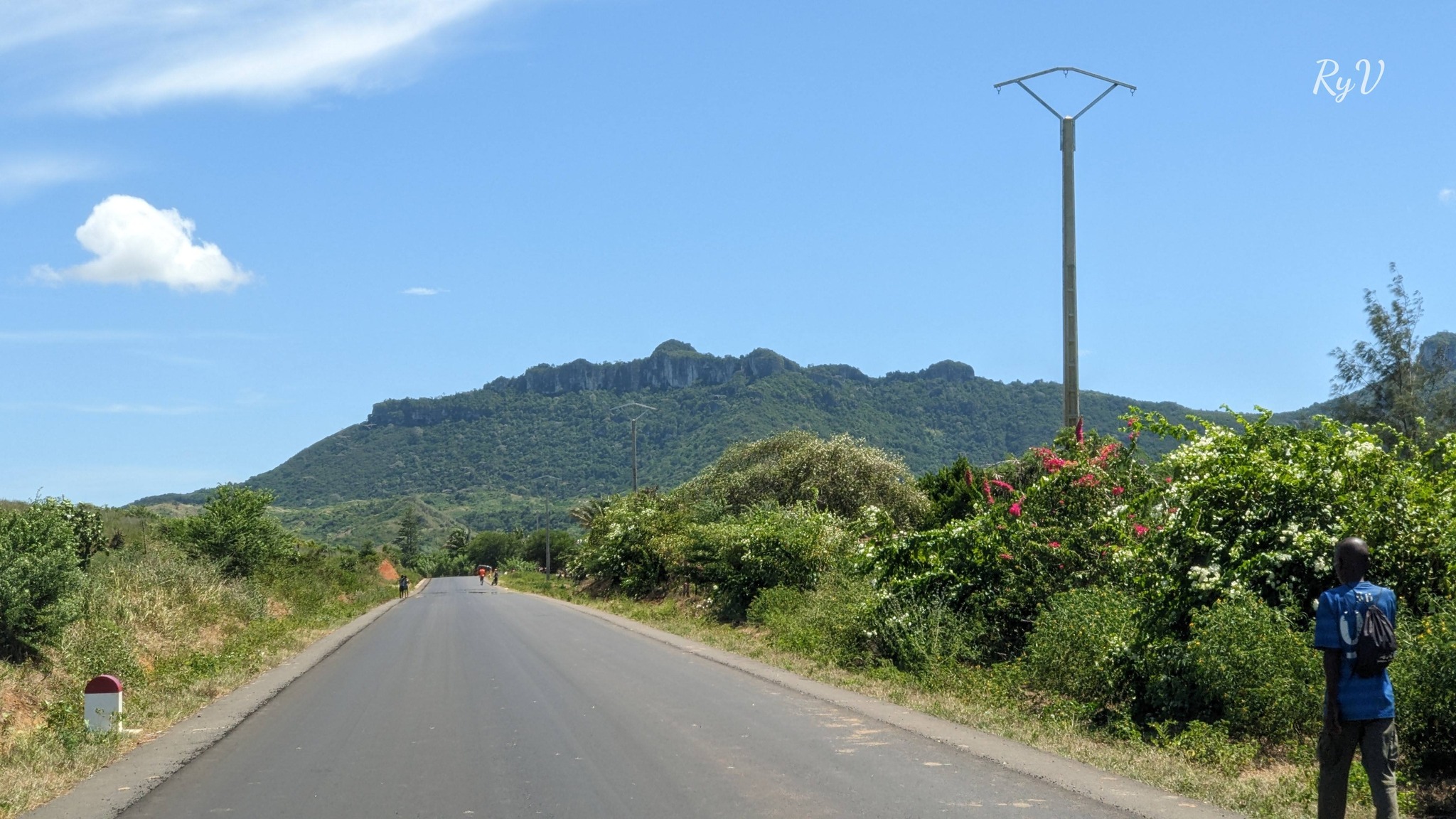 Plantation de vanille à Madagascar